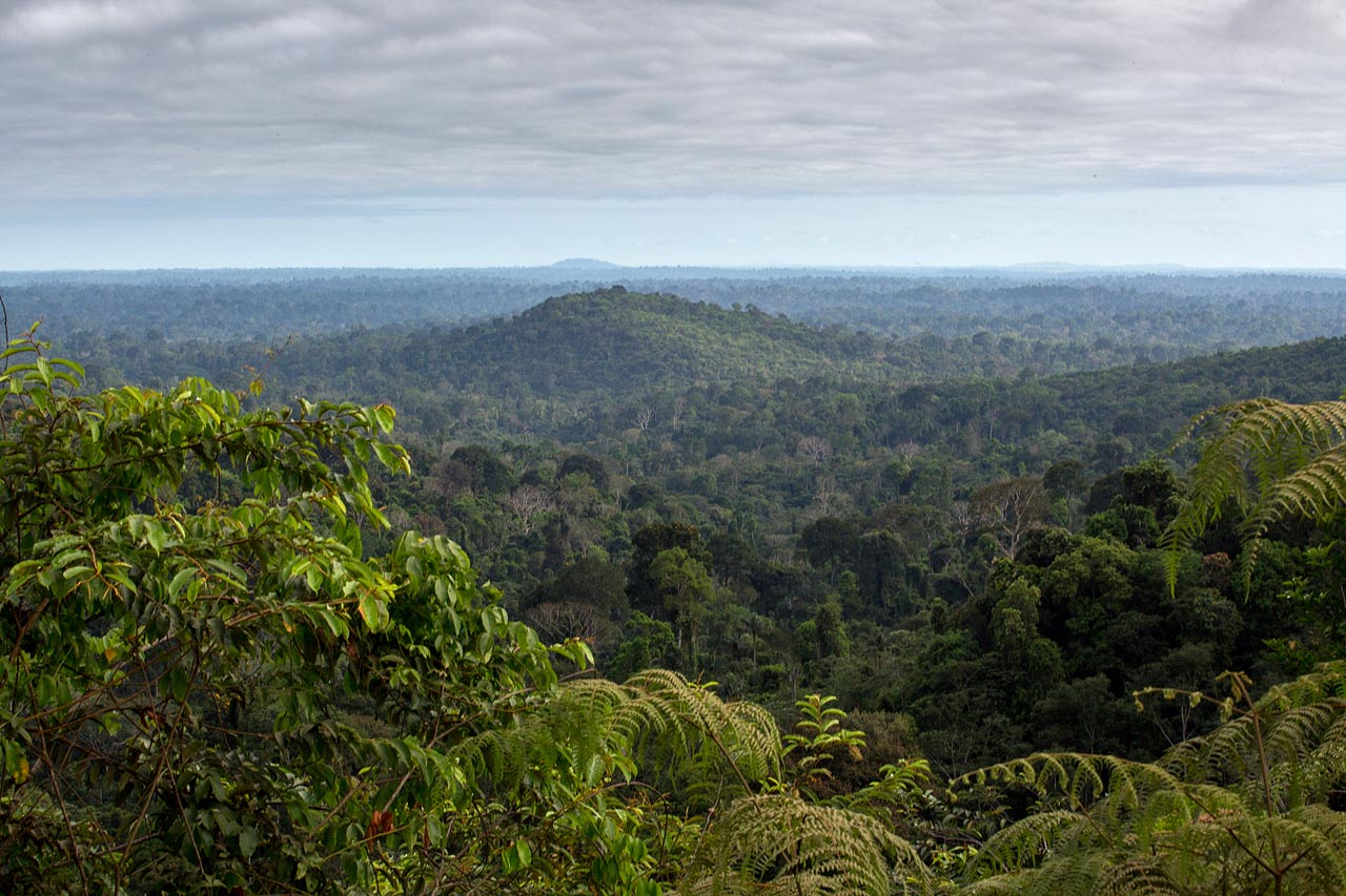 Floresta Nacional de Carajás, Pará, Brasil. Flavio Forner/XIBÉ